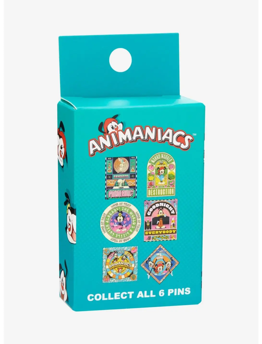 Animaniacs Blind Box Enamel Pin